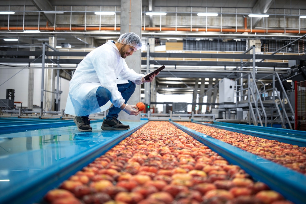 tecnologo com computador tablet aguardando transportadores de tanque de agua fazendo o controle de qualidade da producao de frutas de maca na planta de processamento de alimentos